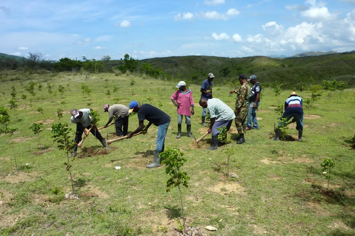 create-real-stories-from-farmers